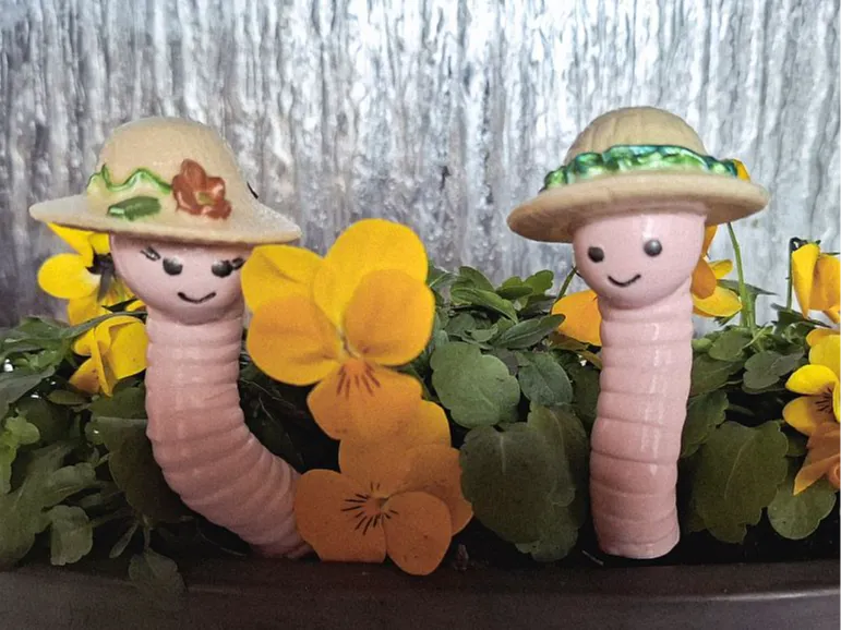 Mr. und Mrs. Wurmi