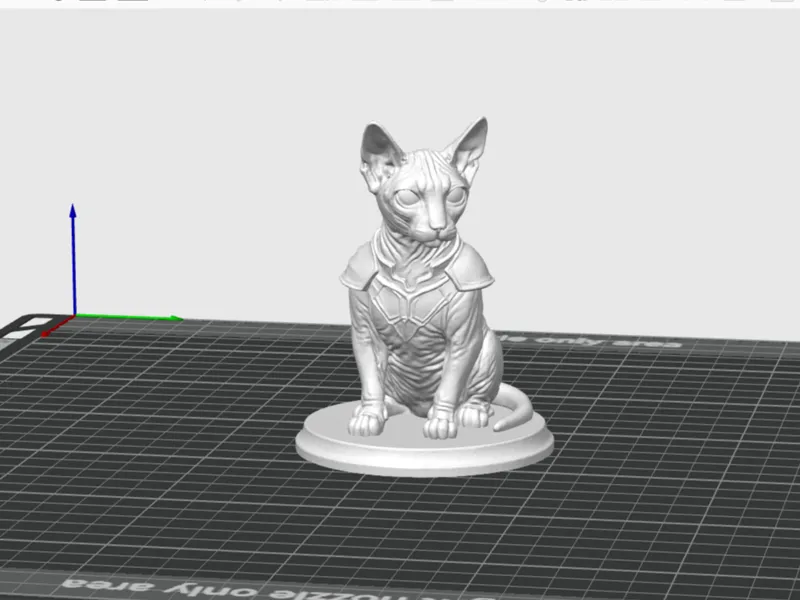 Sphynx Katze