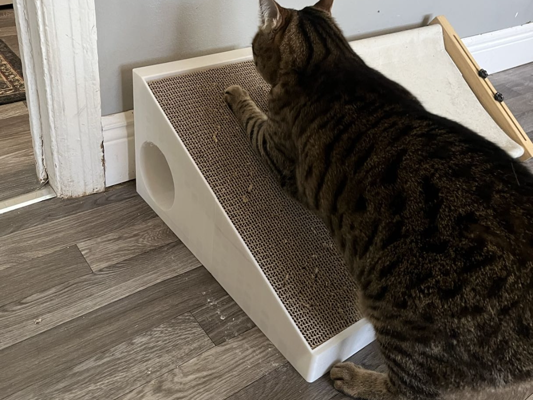 Cat Scratcher