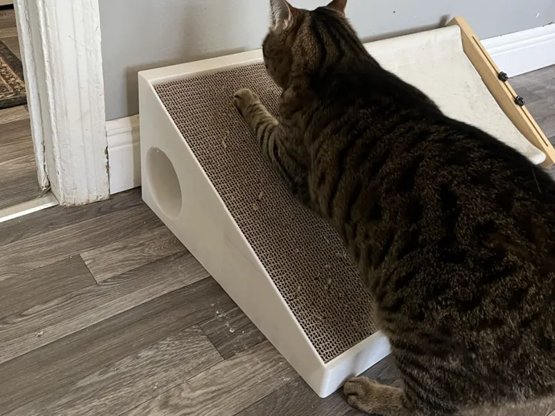 Cat Scratcher