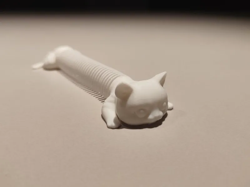 Cat Spring fidget