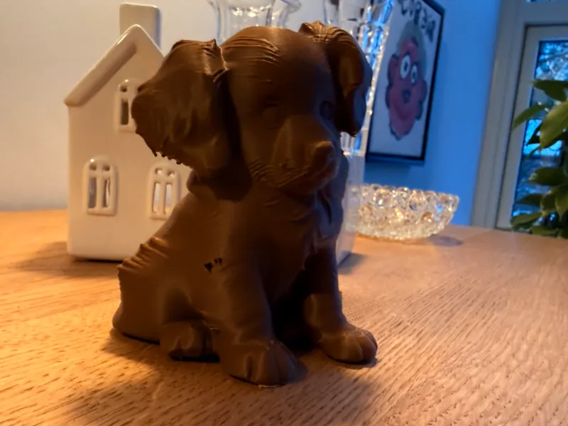 Cute puppy looking at you