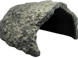 Turtle cave