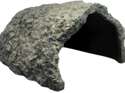 Turtle cave