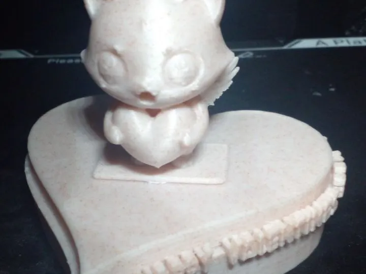 Box hart Cat