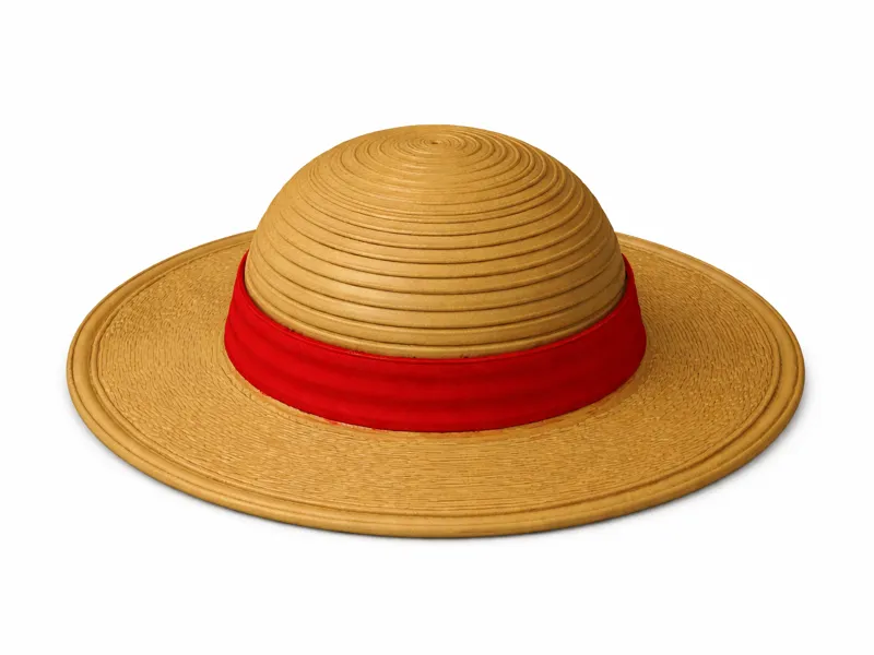 Monkey D. Luffy’s straw hat 