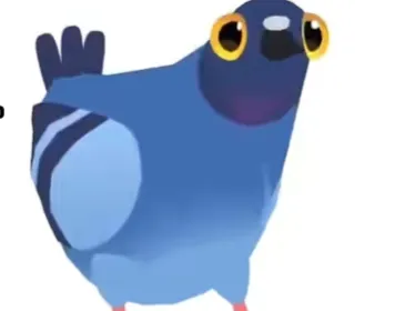 疯狂的鸽子