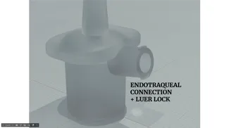 Endotracheal Luer-Lock Connection