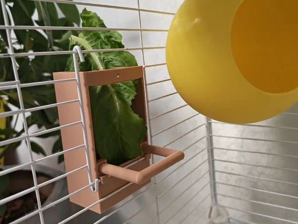 https://makerworld.bblmw.com/makerworld/model/DSM00000002378449/design/e77ea79094ffbb98.jpg