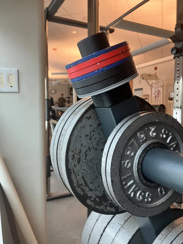 MicroLoad Olympic Weightlifting Pin on Weight Rack