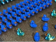 mini duck
