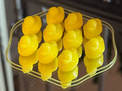 Mini magnetic cruise ducks