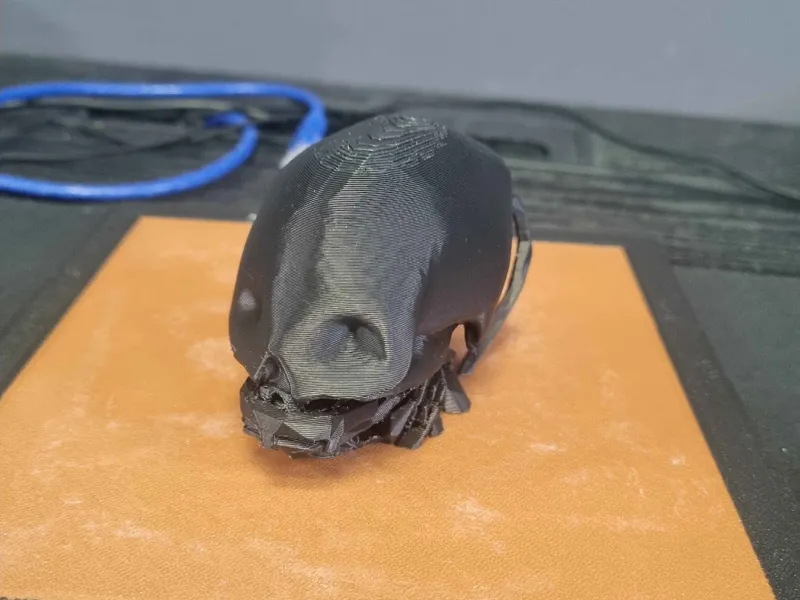 Automaton Head