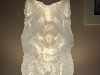 Lampe Hund Eurasier