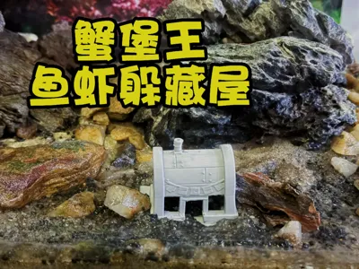 Krusty Krab (Fish and Shrimp Hideout)