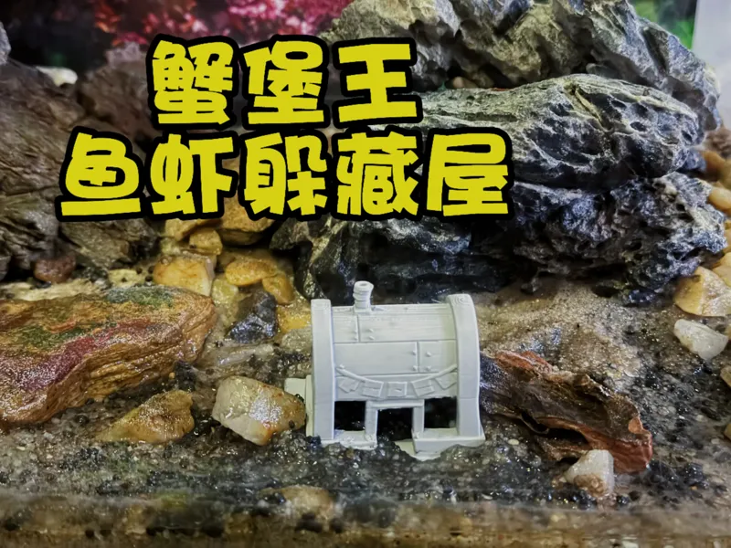 蟹堡王（鱼虾躲藏屋）