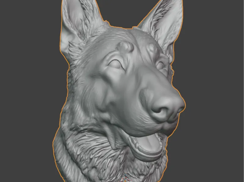 Schäferhund 