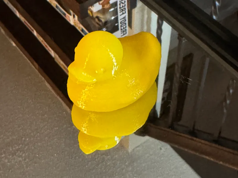 Magnetic cruise duck