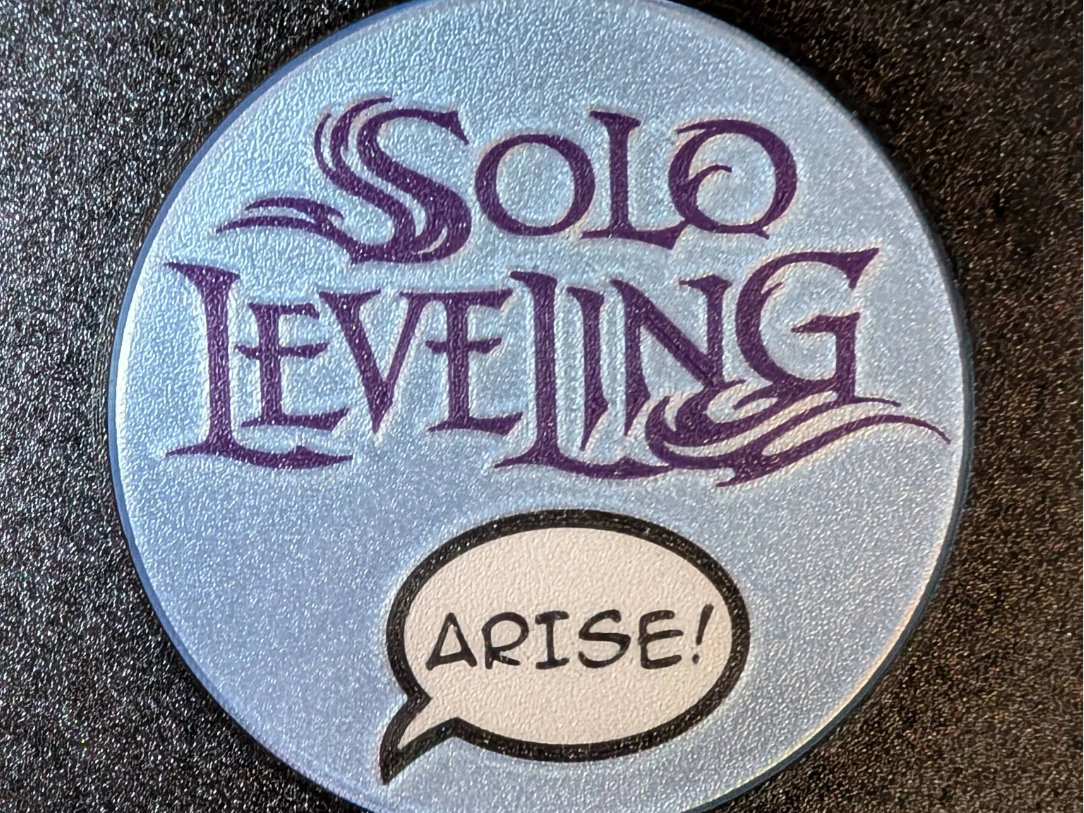The Solo Leveling Coaster