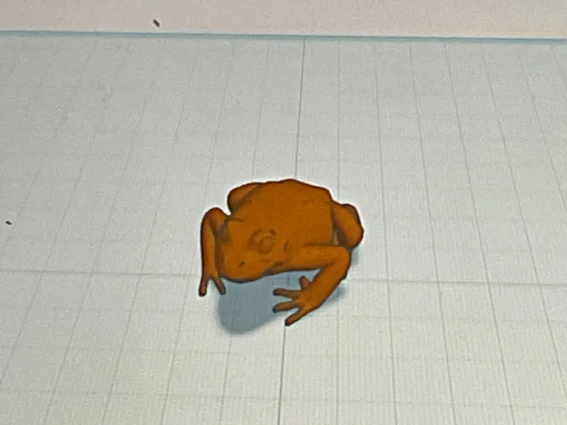 frog