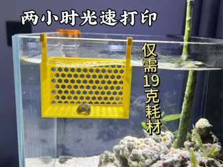 可视化繁殖隔离盒