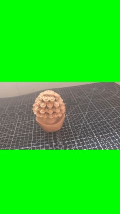 摇钱树