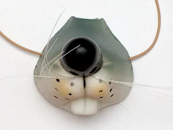 Mouse mask 1st