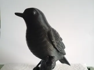 black bird