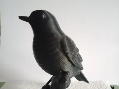 black bird