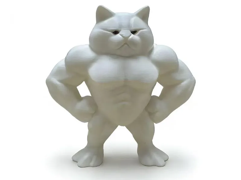 肌肉猫摆件