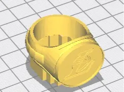 anillo
