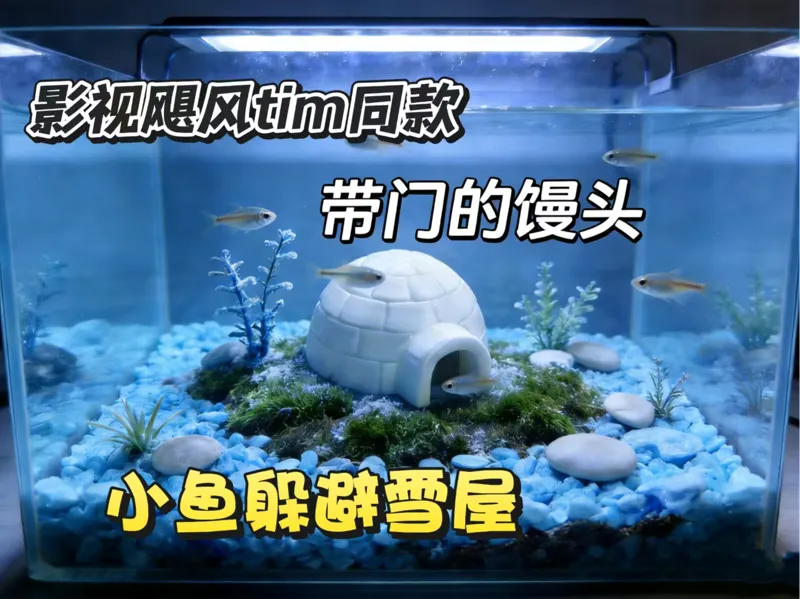 爬宠/小鱼躲避雪屋----灵感来自影视飓风 Team 的 100 小时直播，带门的馒头
