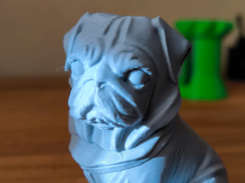 Pug 