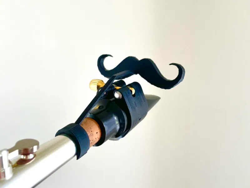 Sax-Stache