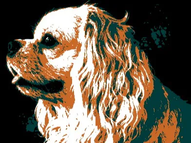 Cavalier King Charles Spaniel Art