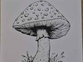 Hueforge Mushroom