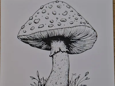 Hueforge Mushroom