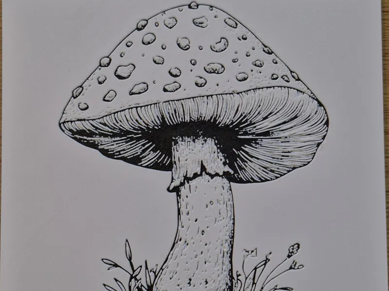 Hueforge Mushroom