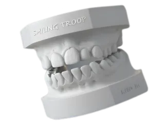 MODELO DENTAL SUPERIOR E INFERIOR ARTICULADO #1