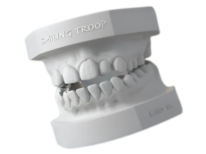 MODELO DENTAL SUPERIOR E INFERIOR ARTICULADO #1
