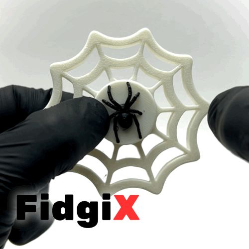 Spider Web Spinne