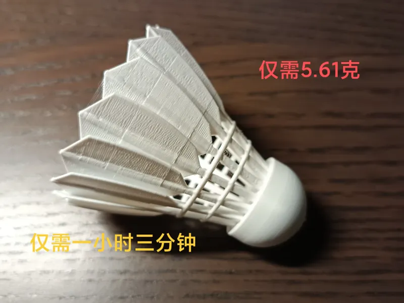 羽毛球