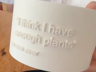 A pot plant thingo