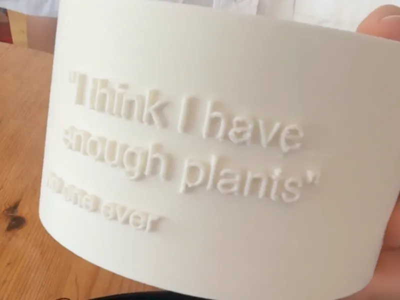 A pot plant thingo