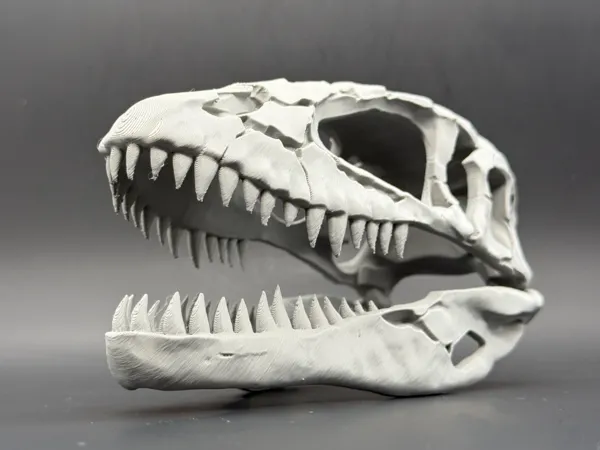 https://makerworld.bblmw.com/makerworld/model/DSM00000002405031/design/156b01b6e30eb4de.jpg