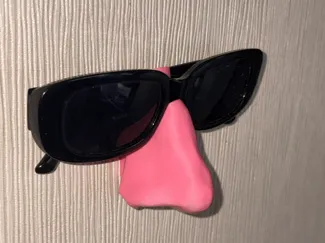 Sunglasses Hanger – “The Nose”