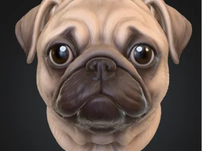 Pug