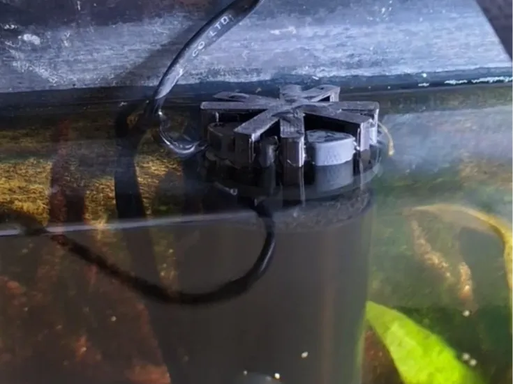aquael SAS 500 skimmer shrimps guard 