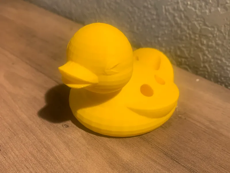 duck pencil holder