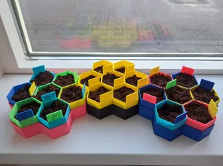 easy seedstarter honeycomb